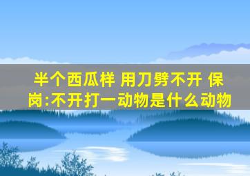 半个西瓜样 用刀劈不开 保岗:不开打一动物是什么动物